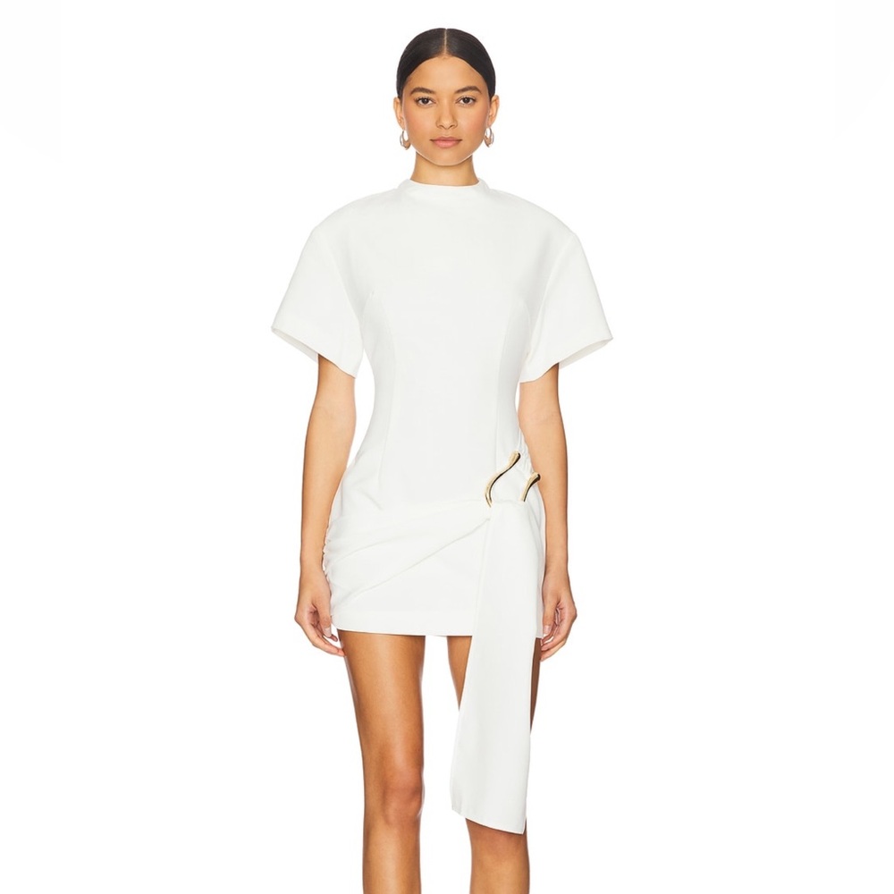 Lioness dress